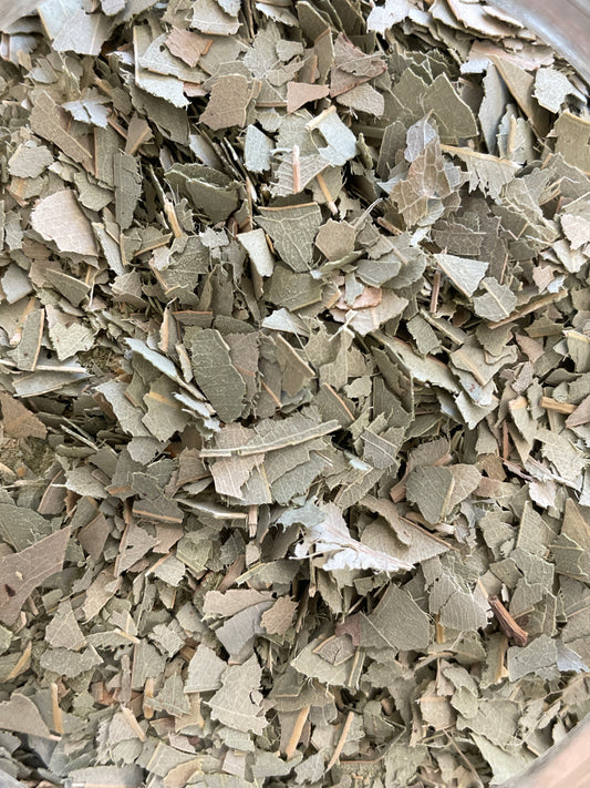 Eucalyptus (available in store)