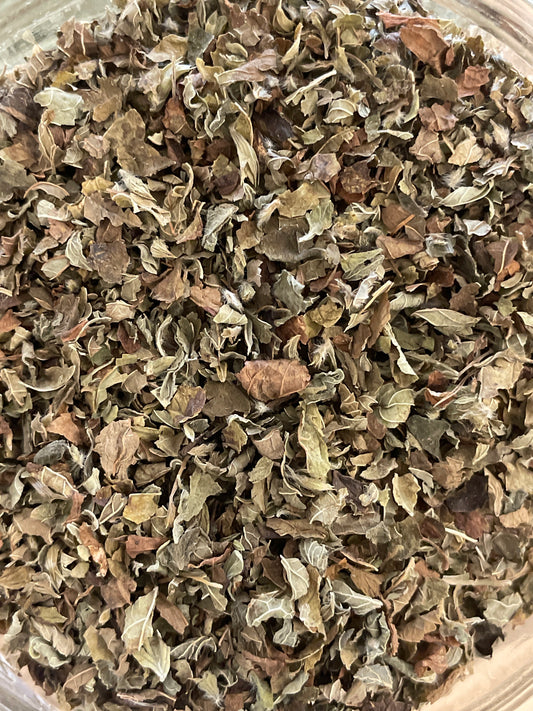 Lemon Balm (available in store)
