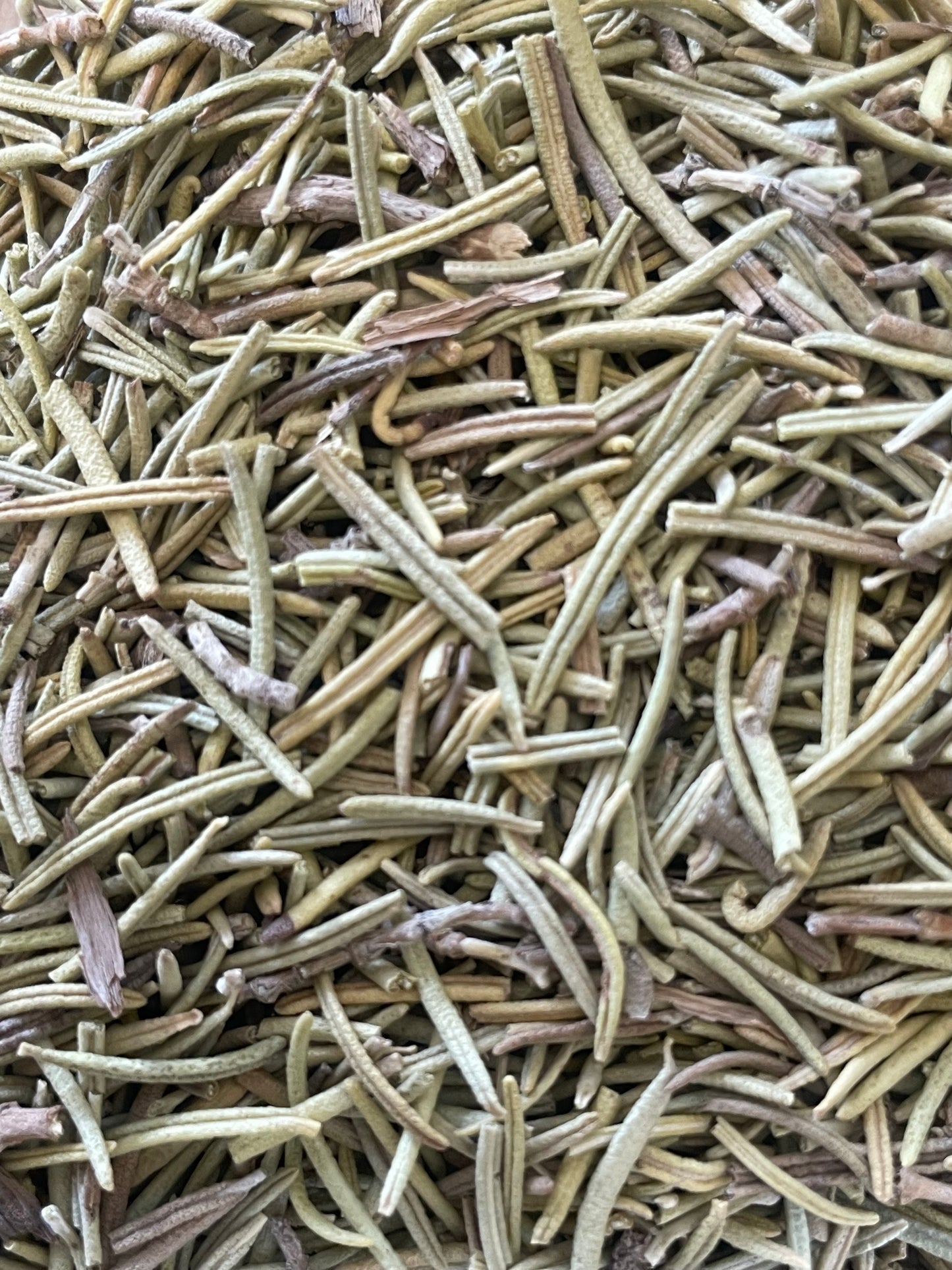 Rosemary