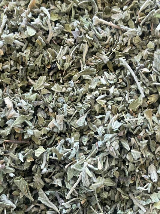 Damiana