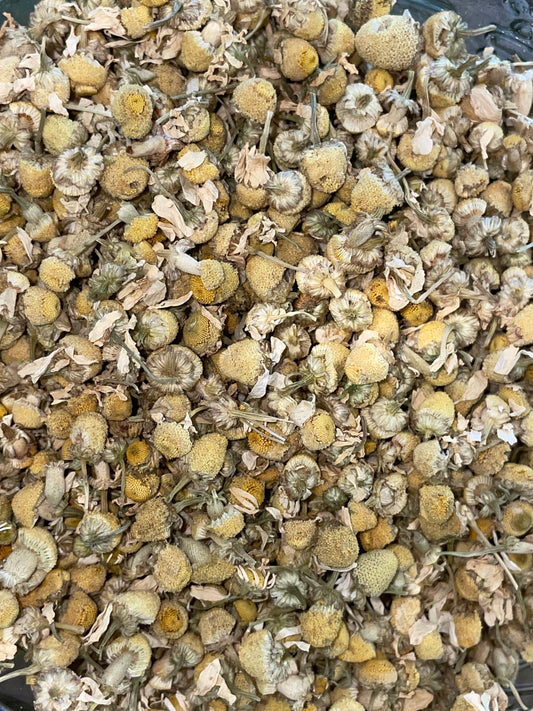 Chamomile