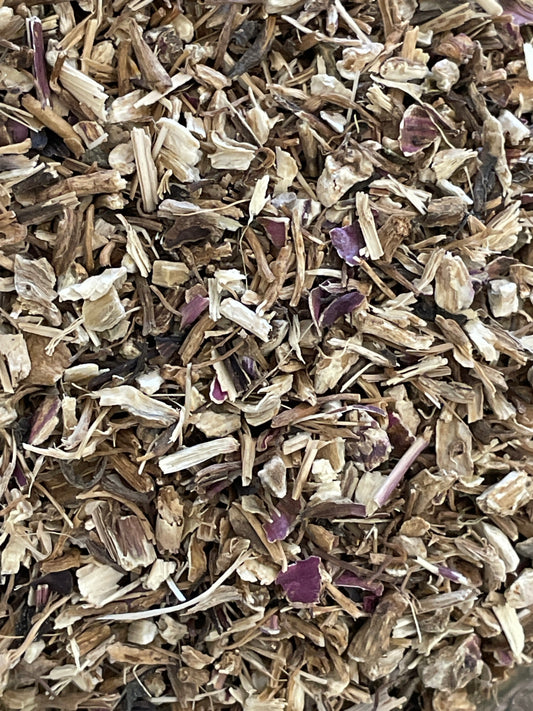 Echinacea Root